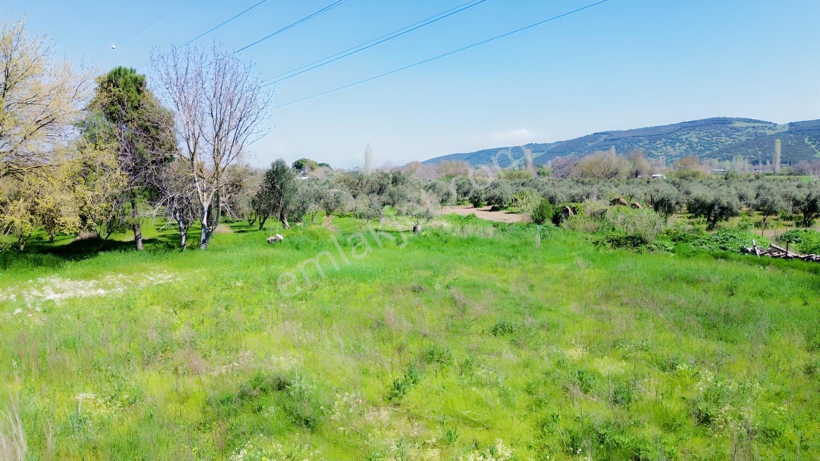 Bergama Atatürk Mahallesinde Bağlar'da Satılık 4.560m2 Bağ - Görsel 35