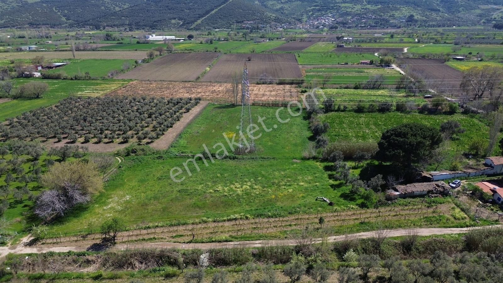 Bergama Atatürk Mahallesinde Bağlar'da Satılık 4.560m2 Bağ - Görsel 14