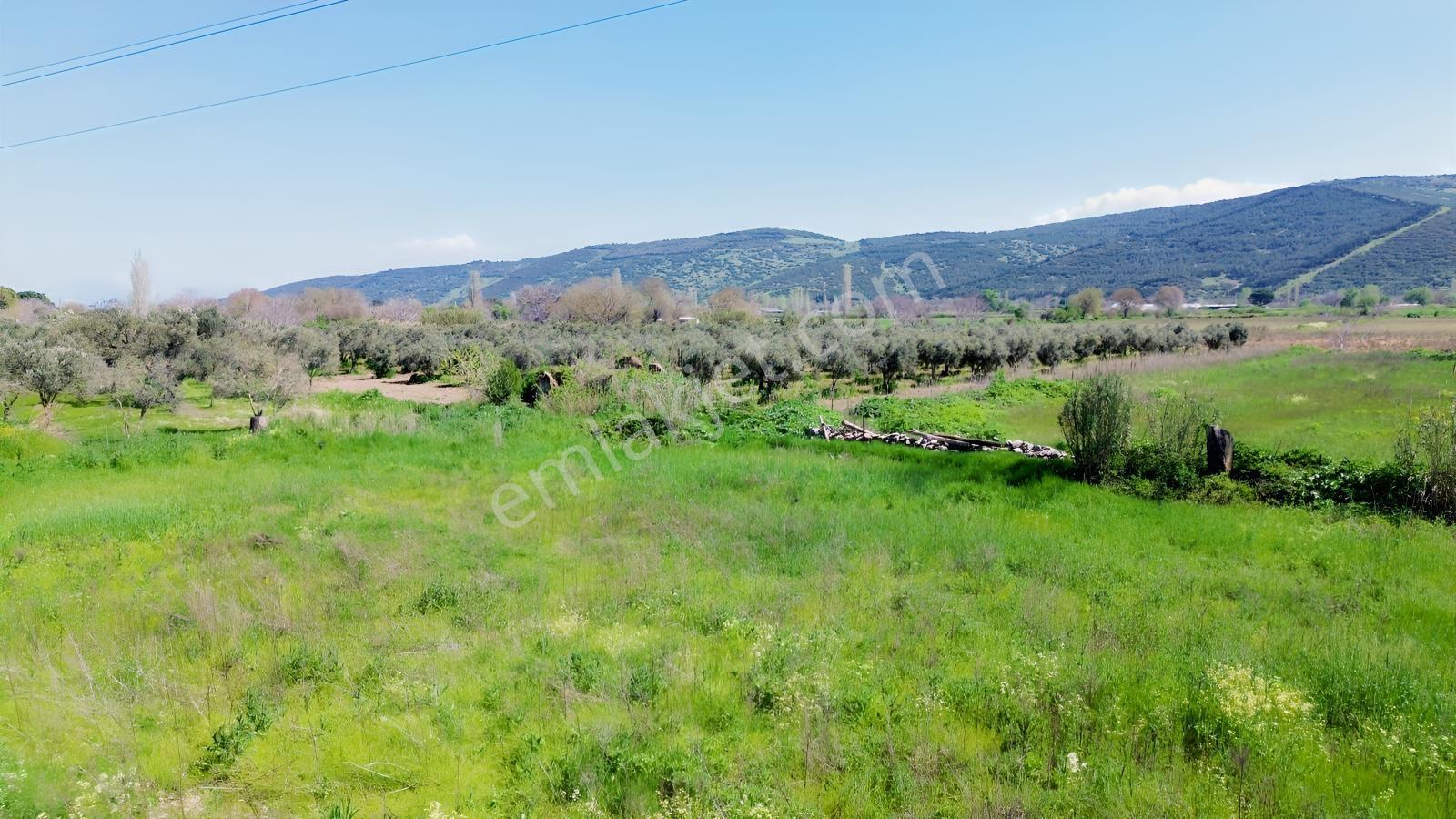 Bergama Atatürk Mahallesinde Bağlar'da Satılık 4.560m2 Bağ - Görsel 30