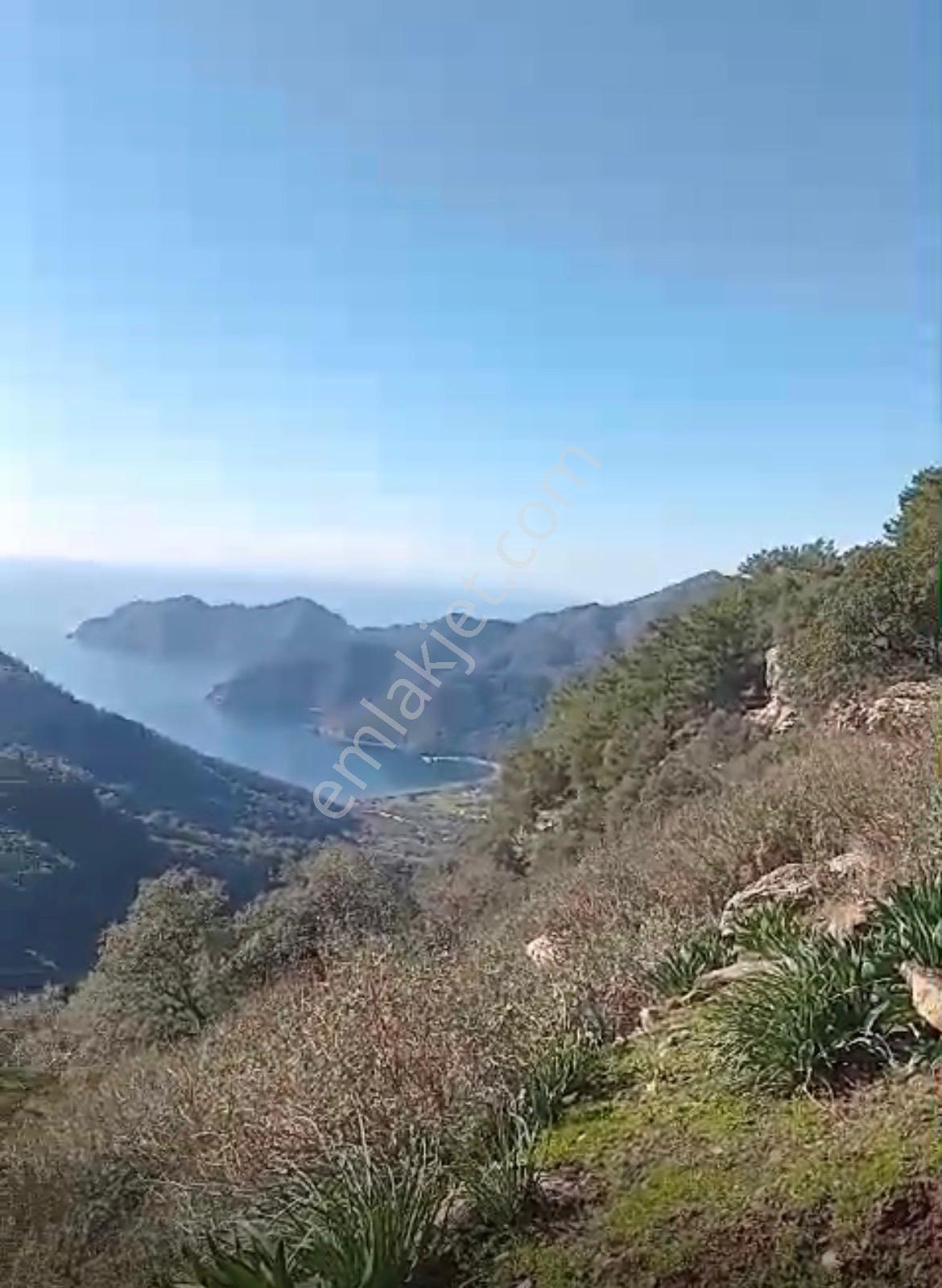 Satılık 2b Arazi – Muğla Köyceğiz Ekincik Mahallesi - Görsel 5