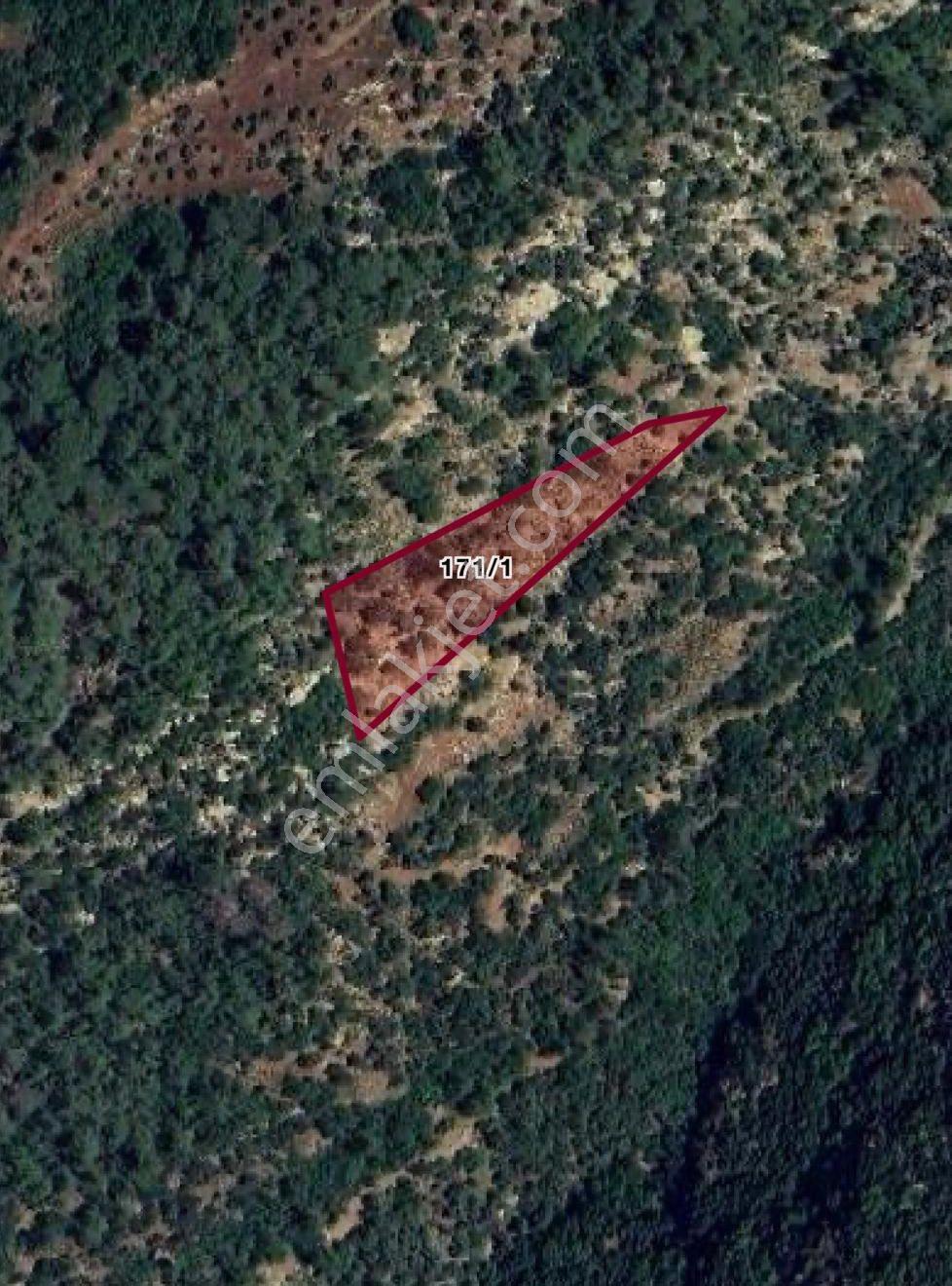 Satılık 2b Arazi – Muğla Köyceğiz Ekincik Mahallesi - Görsel 3