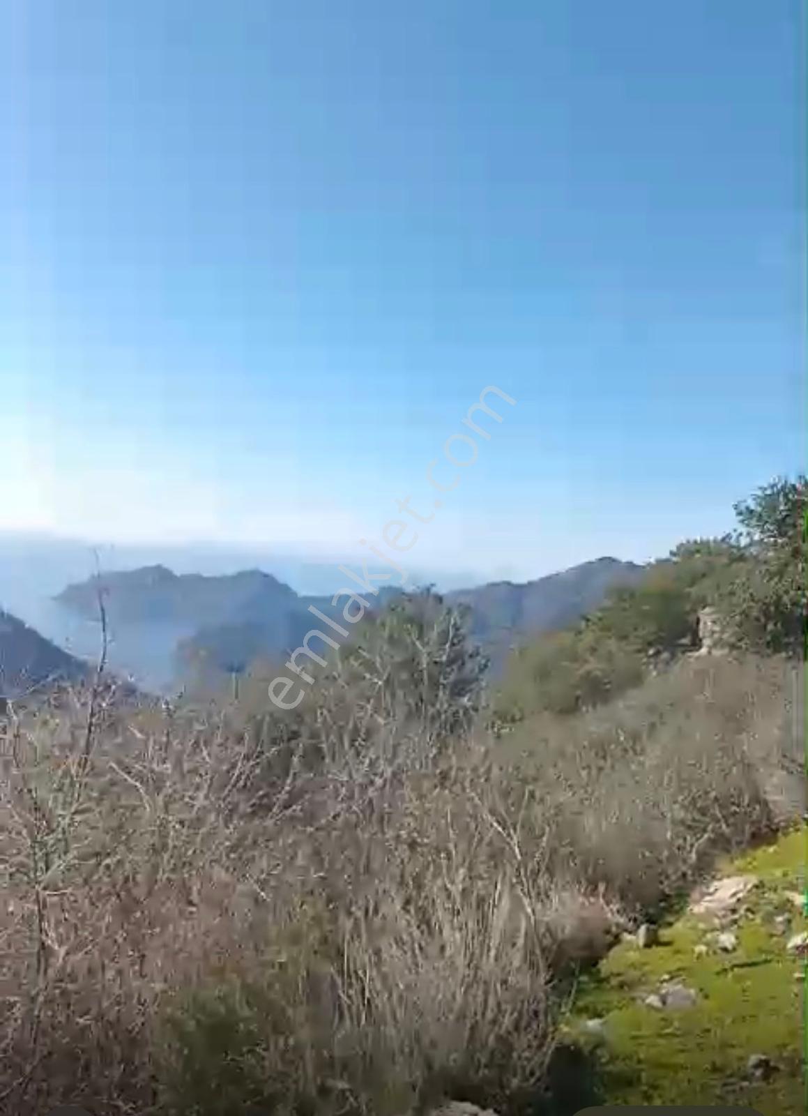 Satılık 2b Arazi – Muğla Köyceğiz Ekincik Mahallesi - Görsel 6