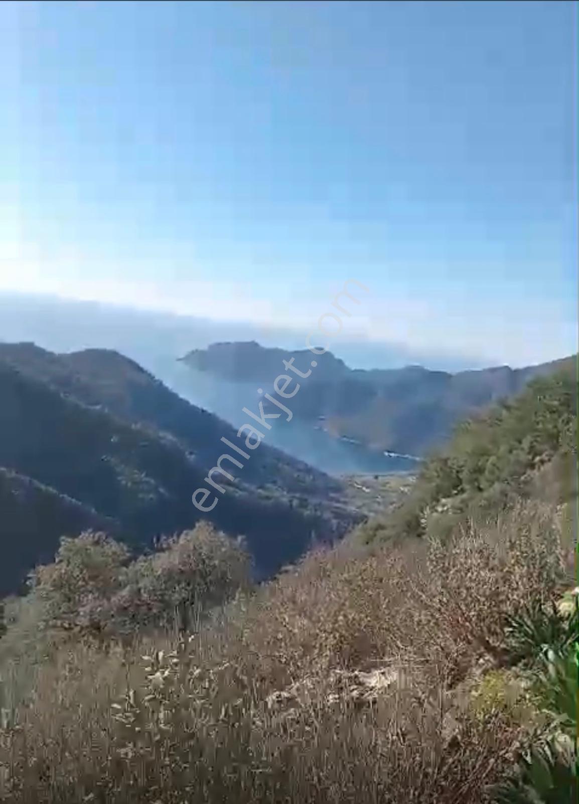 Satılık 2b Arazi – Muğla Köyceğiz Ekincik Mahallesi - Görsel 2