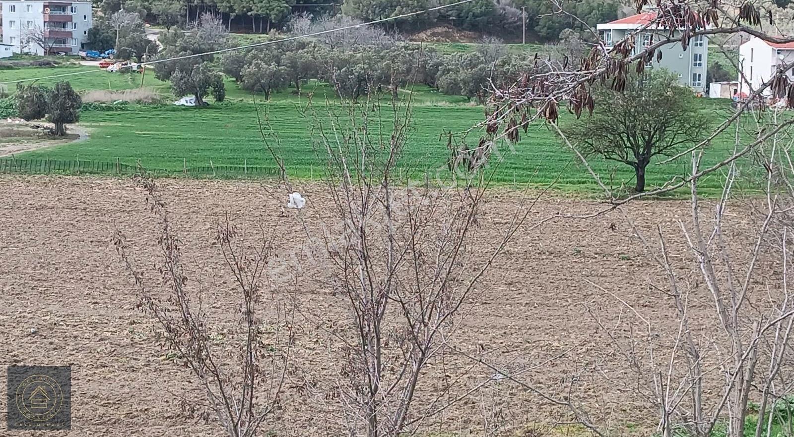 Eceabat,ta Yatırımlık İmar Sınırında Tarla - Görsel 8