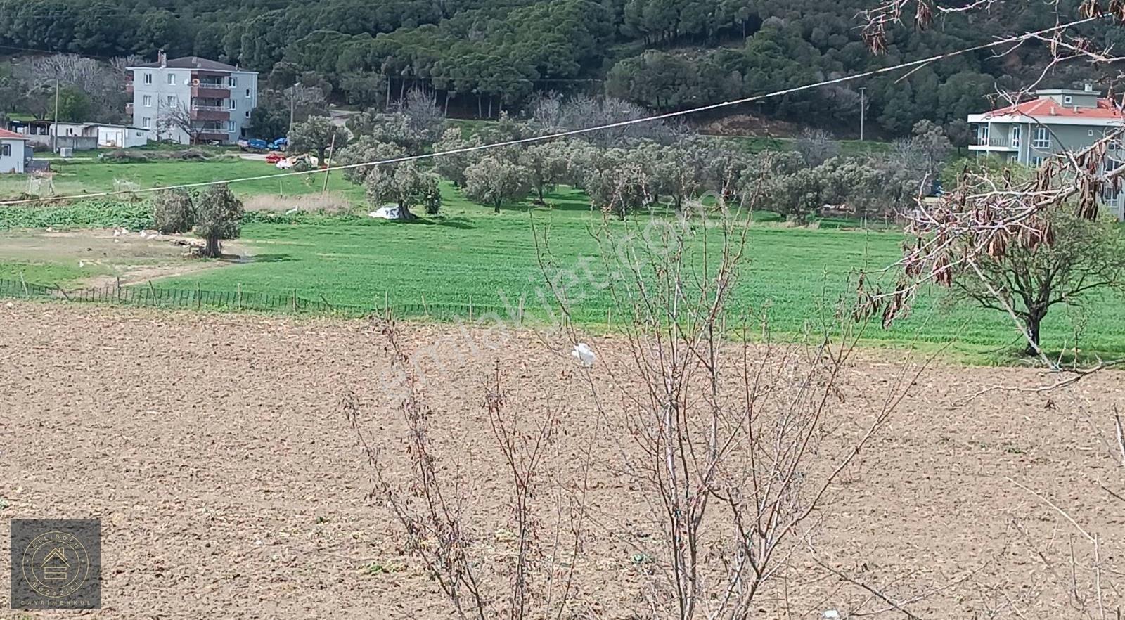 Eceabat,ta Yatırımlık İmar Sınırında Tarla - Görsel 13