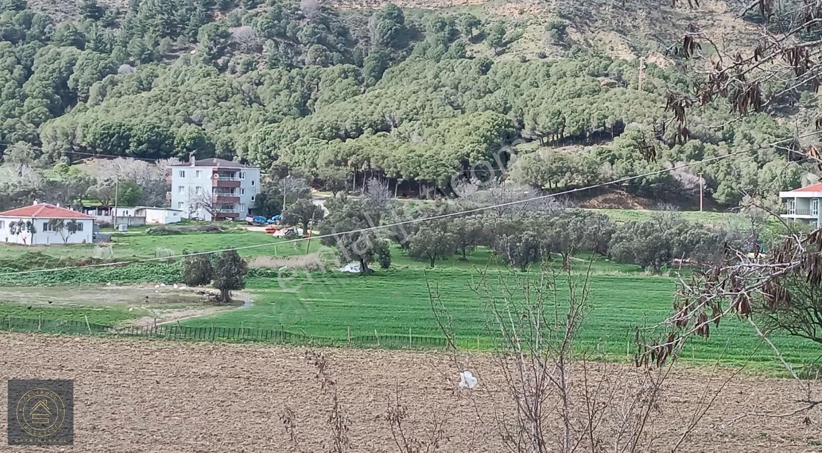 Eceabat,ta Yatırımlık İmar Sınırında Tarla