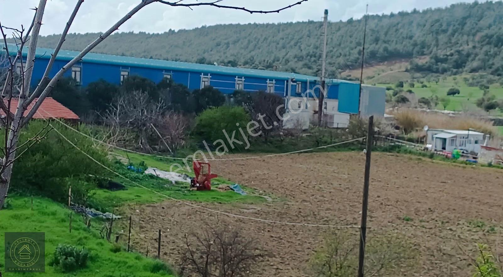 Eceabat,ta Yatırımlık İmar Sınırında Tarla - Görsel 7