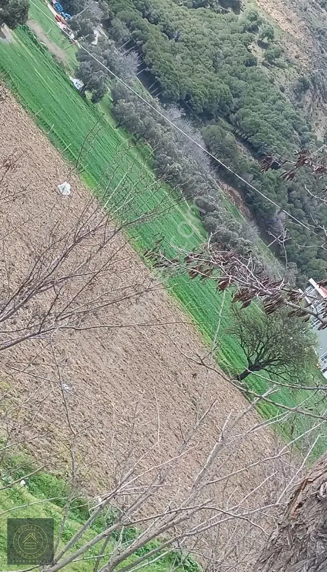 Eceabat,ta Yatırımlık İmar Sınırında Tarla - Görsel 5