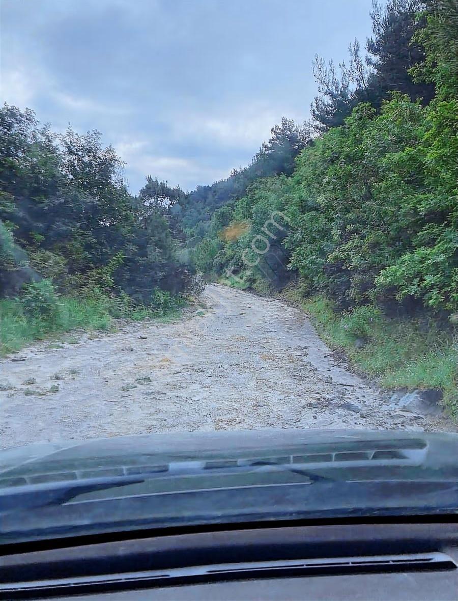Hayvancılık İçin 7350 M2 Tarla - Görsel 6