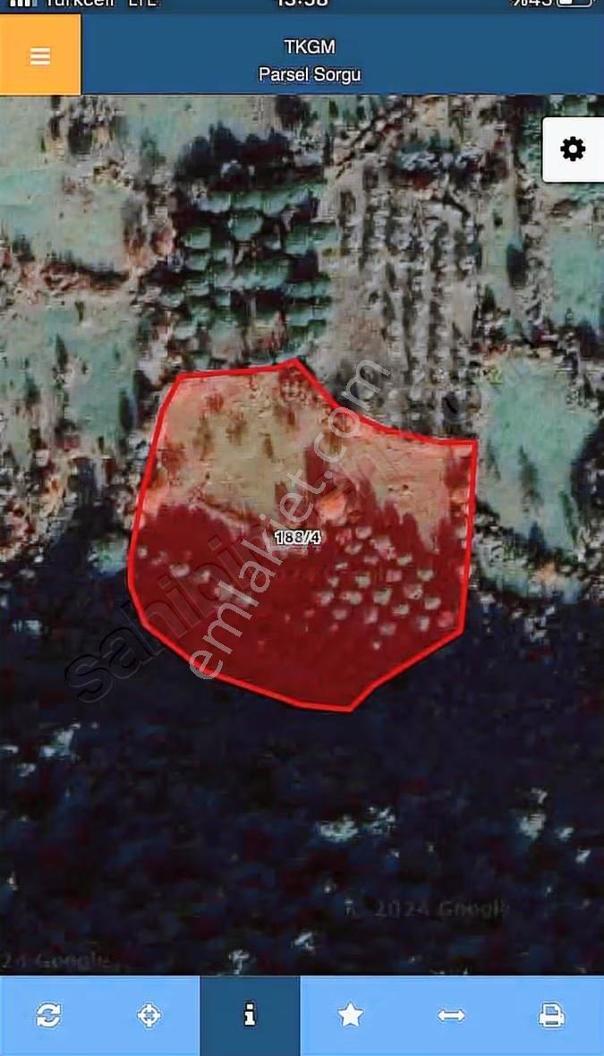 Hayvancılık İçin 7350 M2 Tarla - Görsel 11