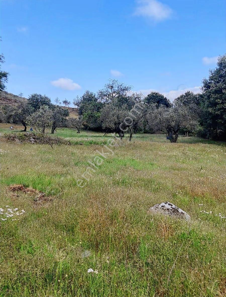 Hayvancılık İçin 7350 M2 Tarla - Görsel 9