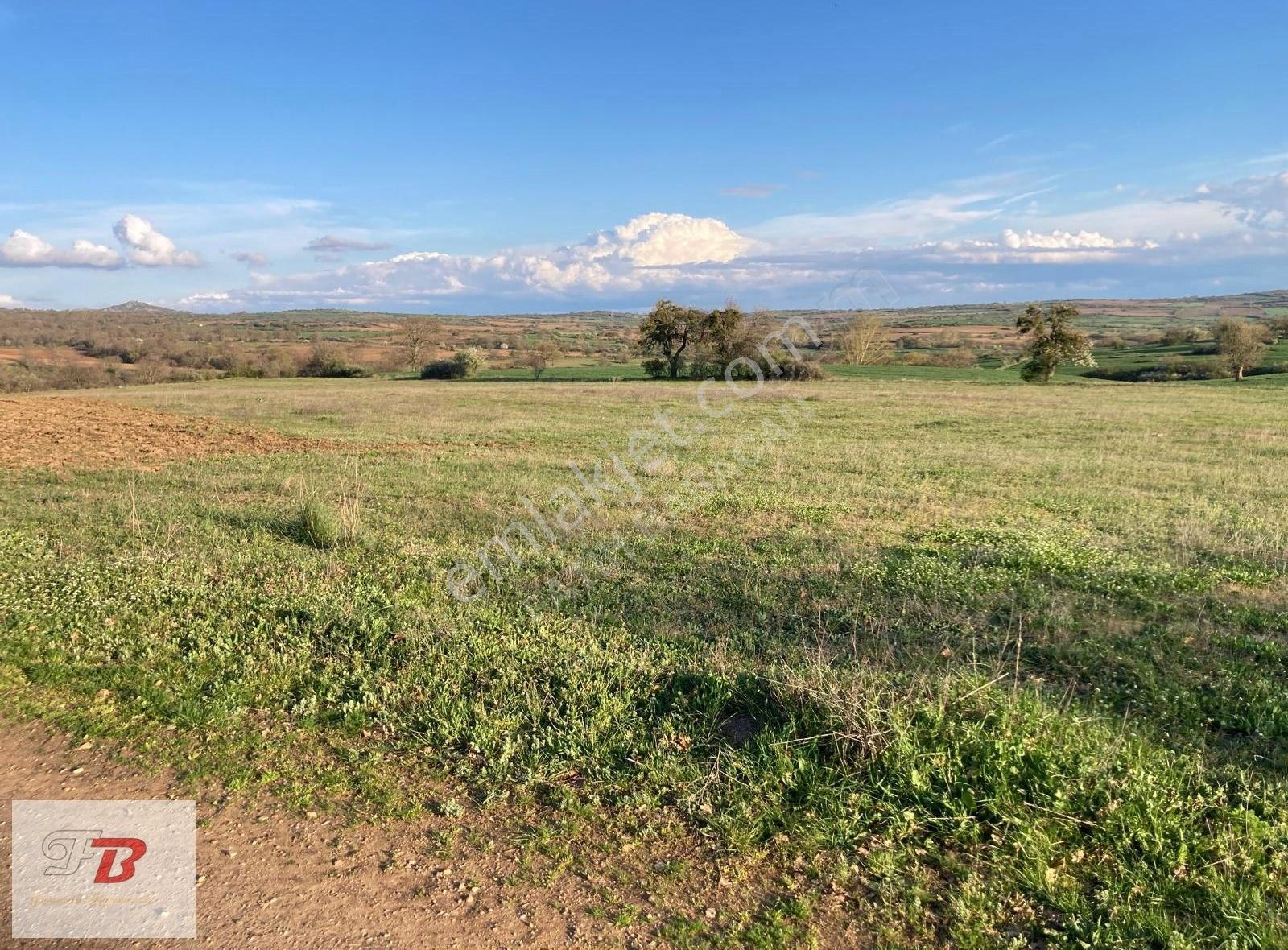 Kırklareli Merkez Karahamza Köyünde Satılık 33800 M2 - Görsel 5