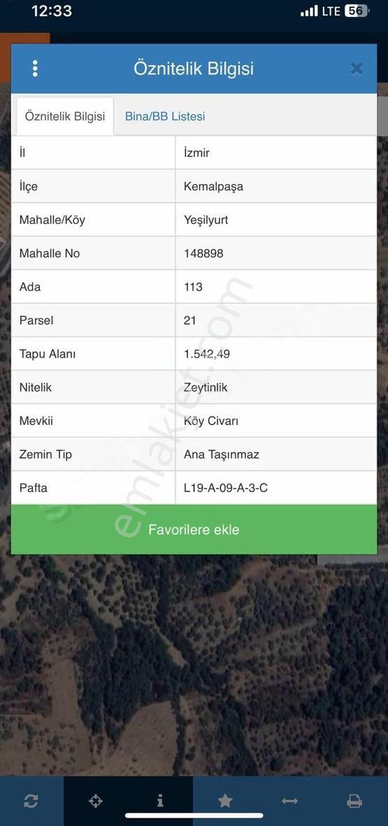 Kemalpaşa Yeşilyurt Köyünde Tek Tapu Zeytn Bahçesi - Görsel 2