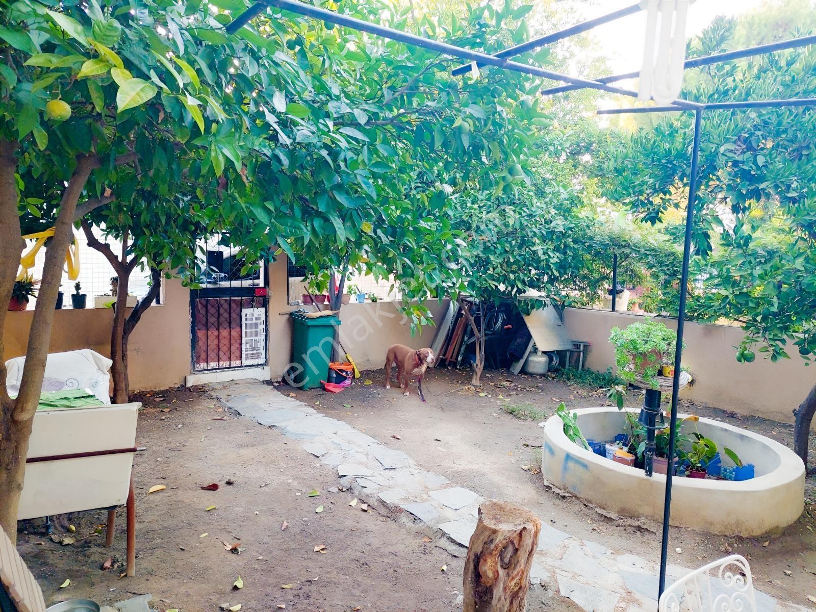 Limanreis' Te Sahile Yürüyüş Mesafesinde Bahçeli Müstakil Ev - Görsel 9