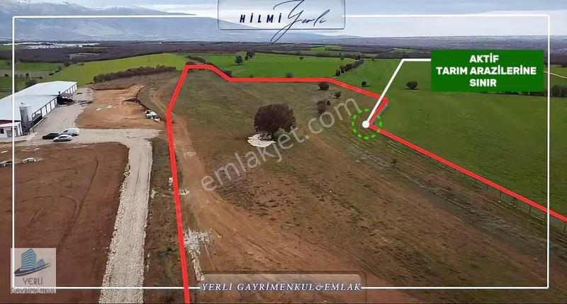 Yerli Gayrimenkul'den Çed Raporlu Tavuk Çiftliği Arazisi - Görsel 5