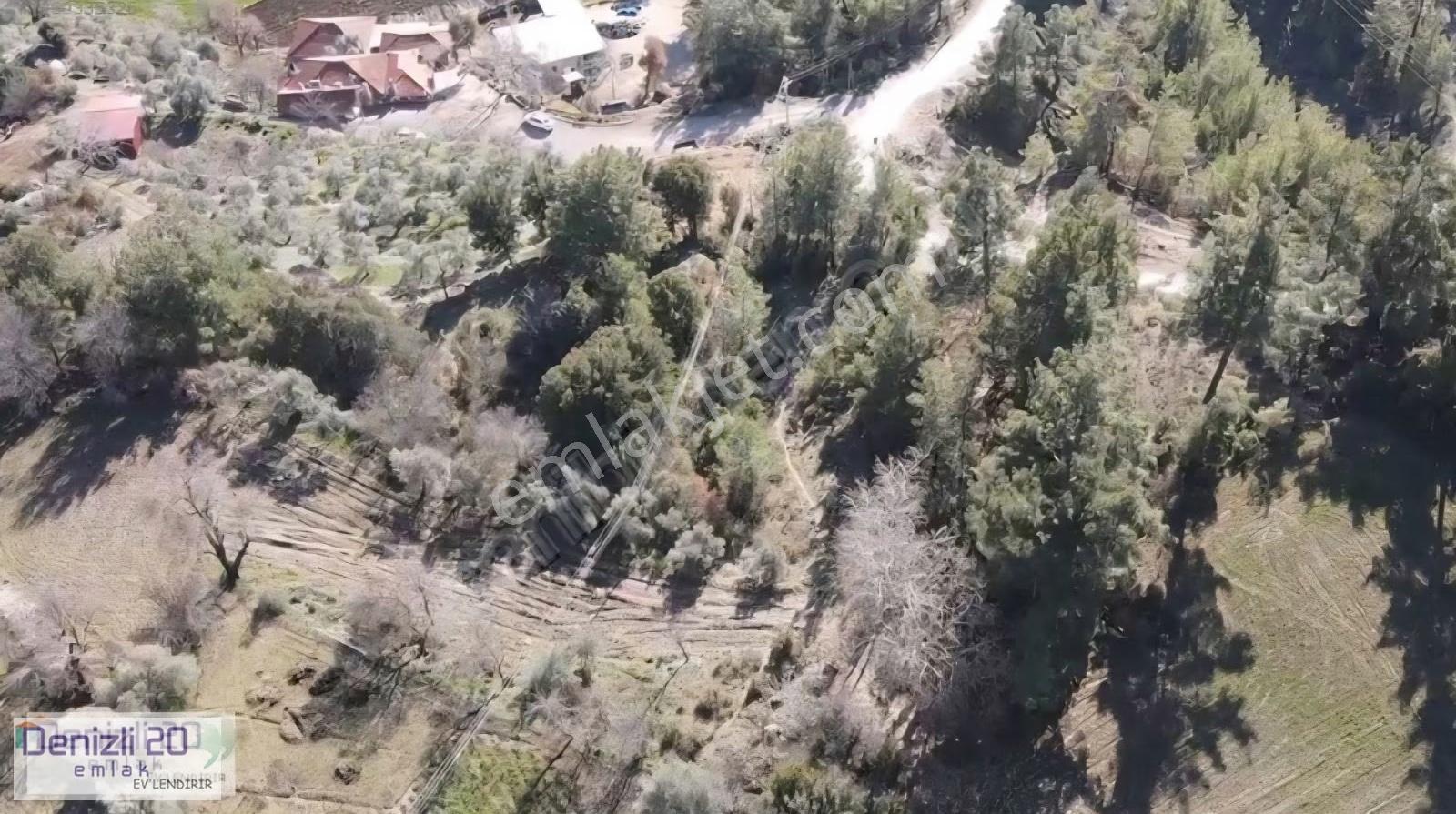 Menteşe Muratlar'da Köyiçi - Görsel 2