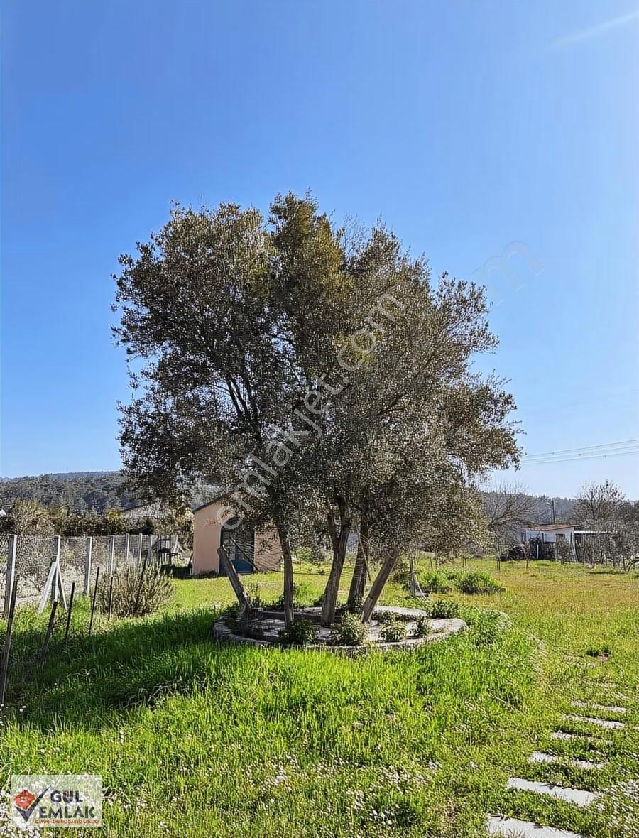 Urla Kuşçularda 1.500 M² Arsa İçinde Çam Ormanlarının Eteğinde - Görsel 27