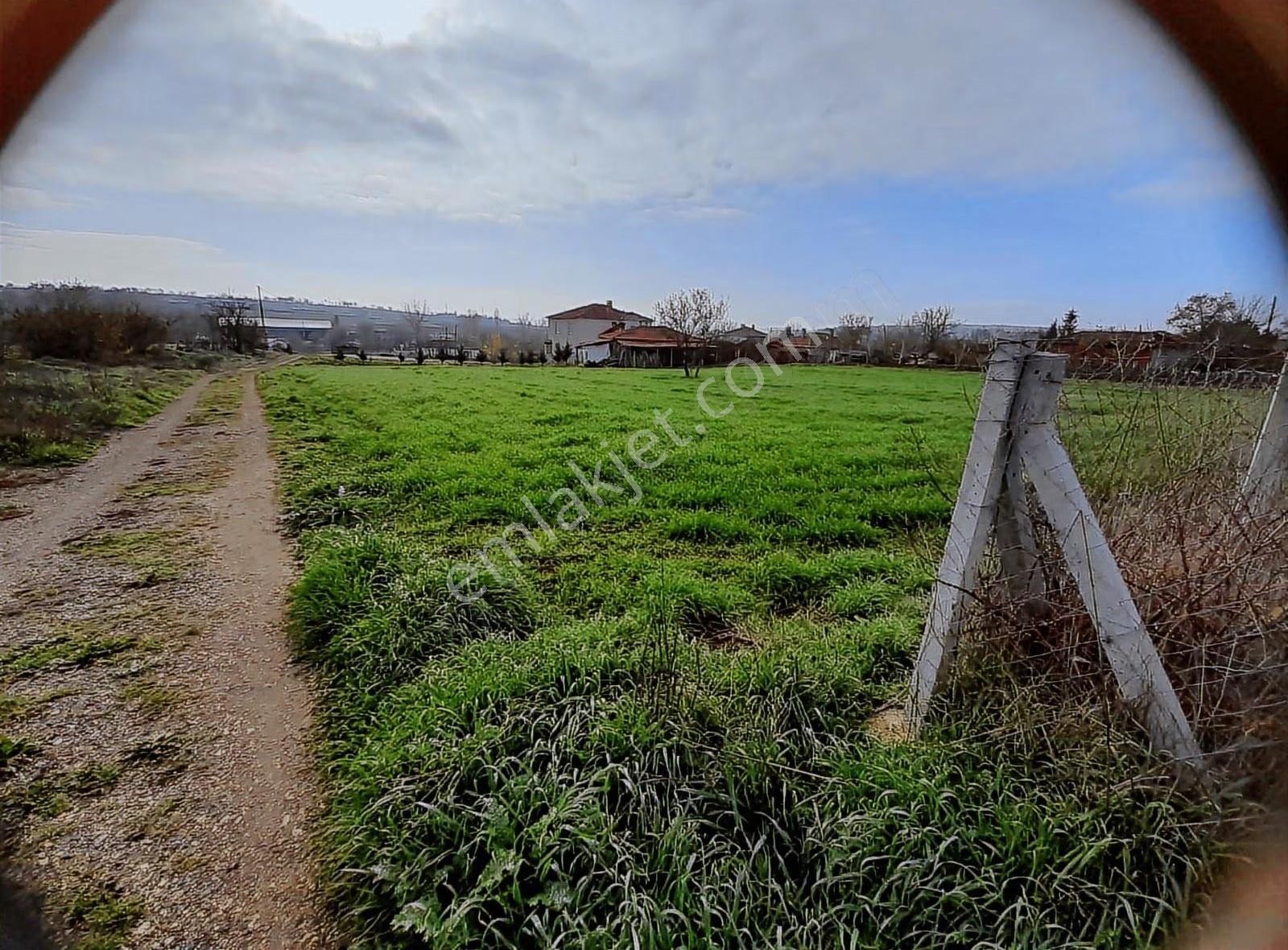 Duru Emlaktan Ballı Köyünde 842mt İmarlı Arsa - Görsel 8