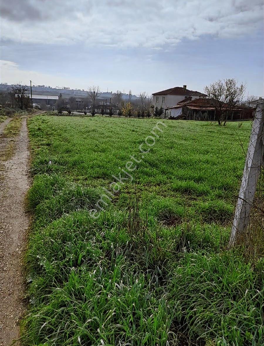 Duru Emlaktan Ballı Köyünde 842mt İmarlı Arsa - Görsel 11