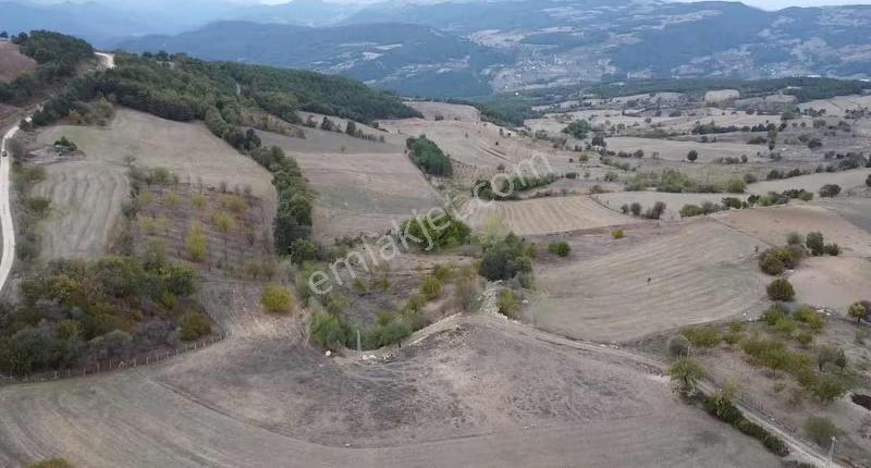 Taraklı Gölveren Mevkide , Yatırımlık Tarla - Görsel 2