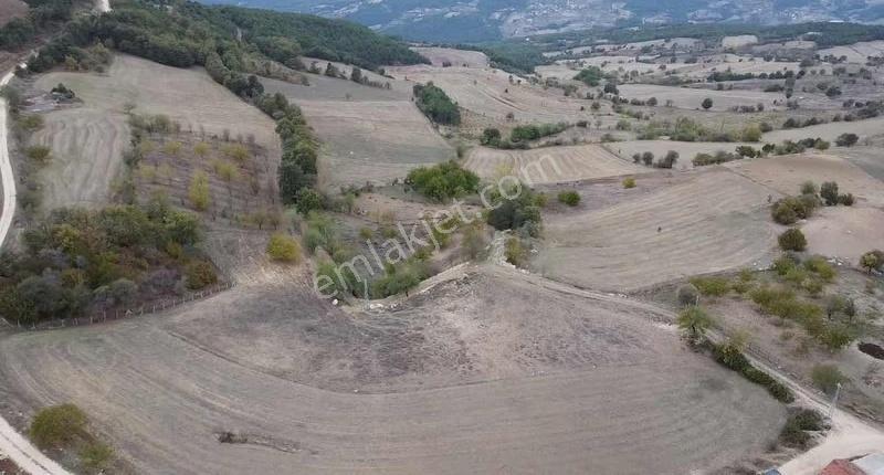 Taraklı Gölveren Mevkide , Yatırımlık Tarla