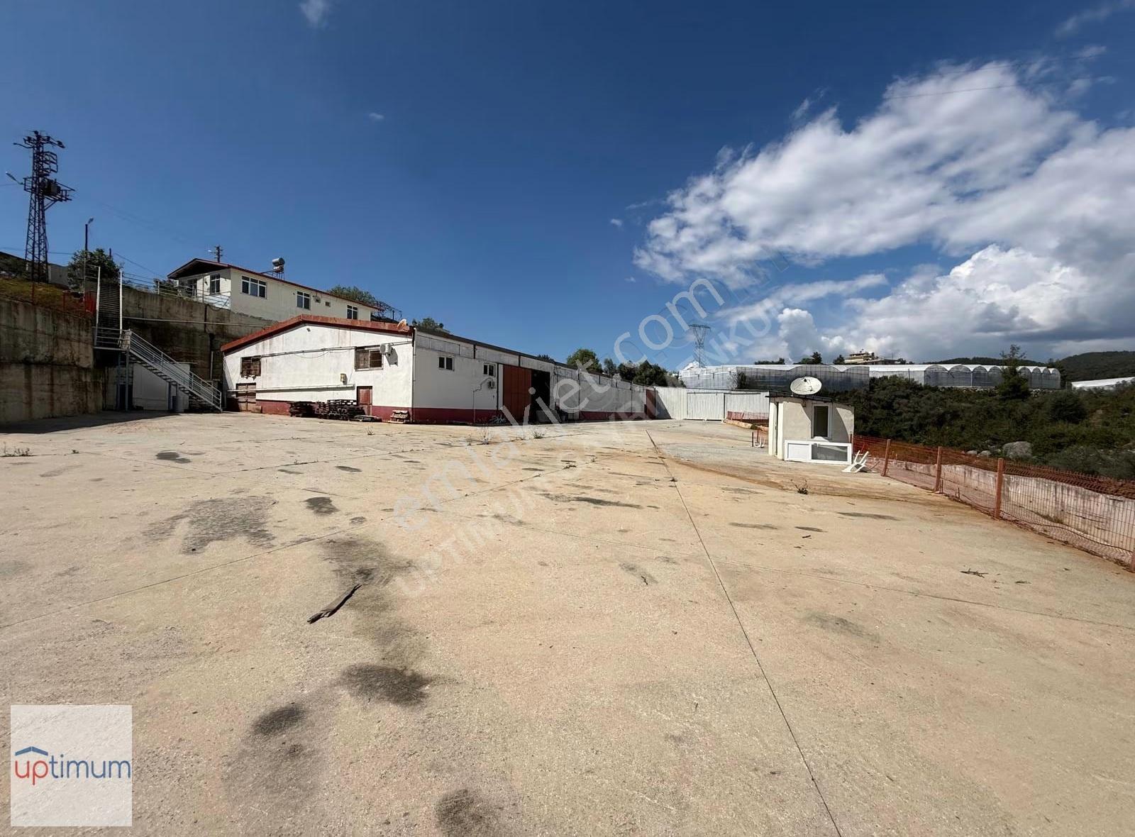Alanya Avsallar Akdamda Lojistik Depo+operason Üssü 5700 M2 Arsa