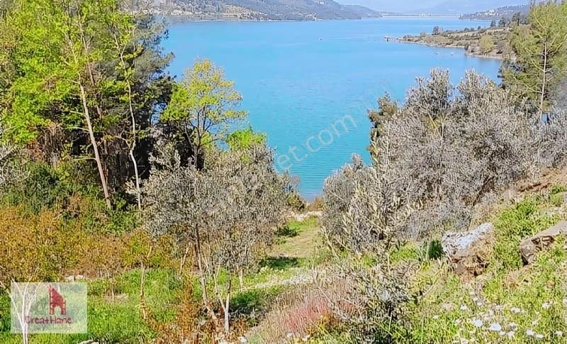 Yetkili Ofis-bozbel'de Göl Manzaralı Nar Ve Zeytin Bahçesi 1421