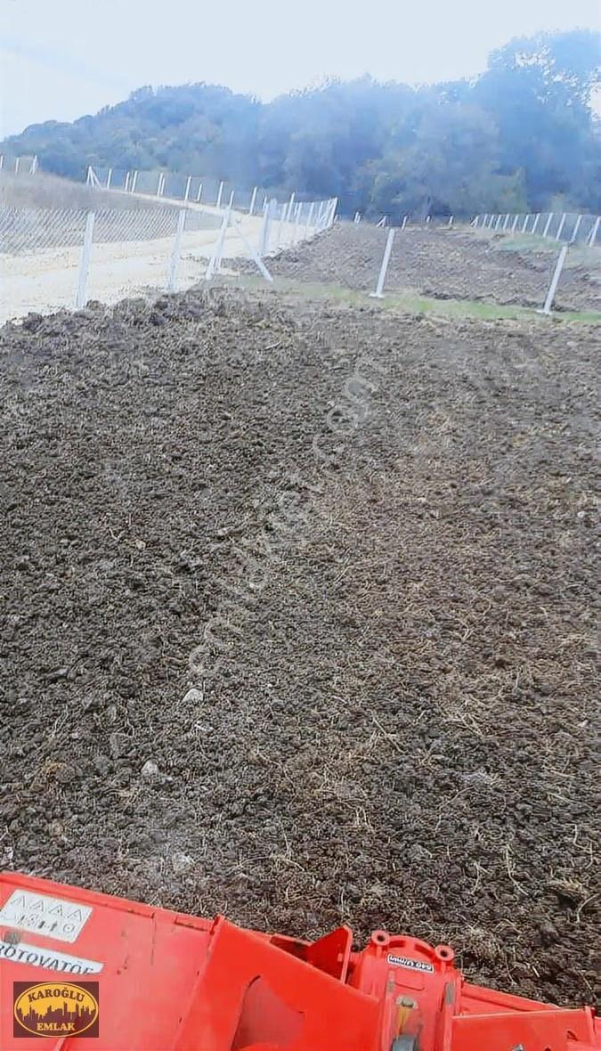 Çiftlikkoy 1137 M2 Çaplı Acil Uygun Parsel - Görsel 4