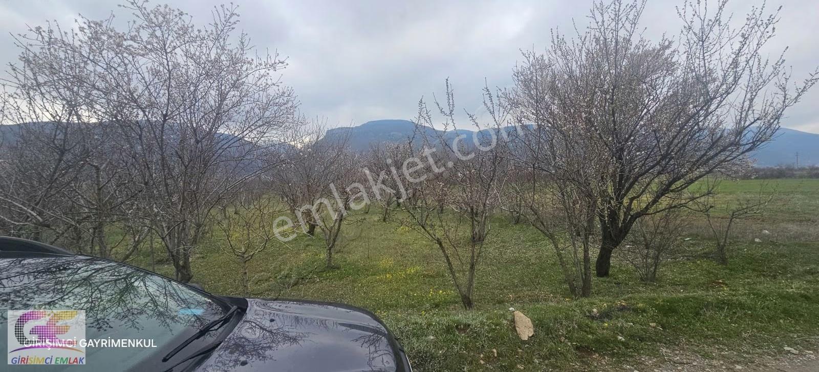 Girişimciden Satılık Yeni Hastane Arkası Tam Yatırımlık - Görsel 4