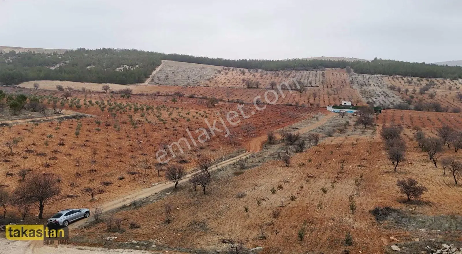 Suboğaz Orman Mazaralı Yatırım Ve Bağ Evi İçin Uygun Arazi - Görsel 2