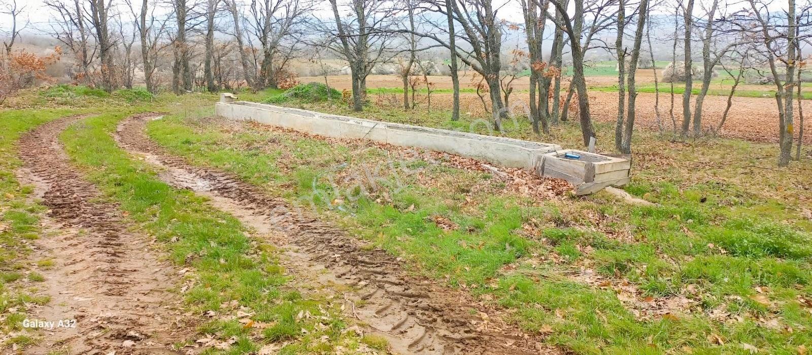 Vize Sergende 7.506 M2 Orman Boyu Çiftlik Yapımına Uygun Arazi - Görsel 23