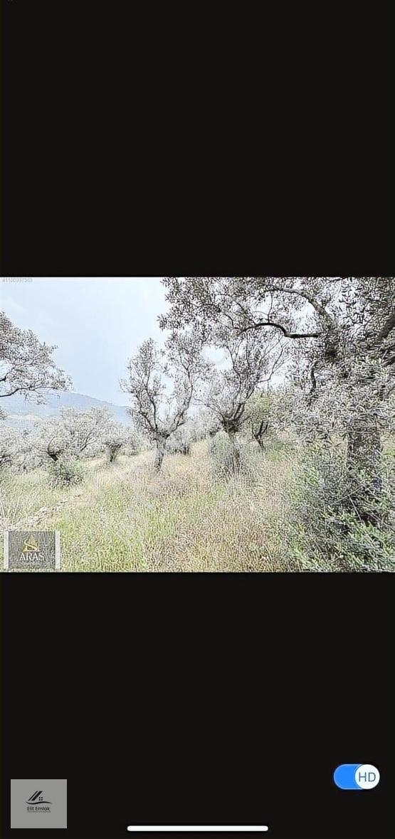Bayındır Ergenli Mahallesin De 226 M2 Tek Tapu - Görsel 5