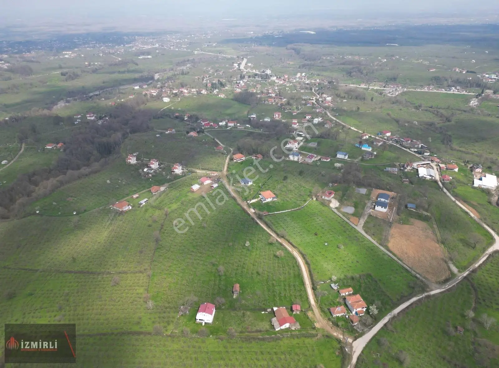 Sakarya Karapürçek Mesudiye Anayola Cepheli Satılık Fındık Bahçe - Görsel 2