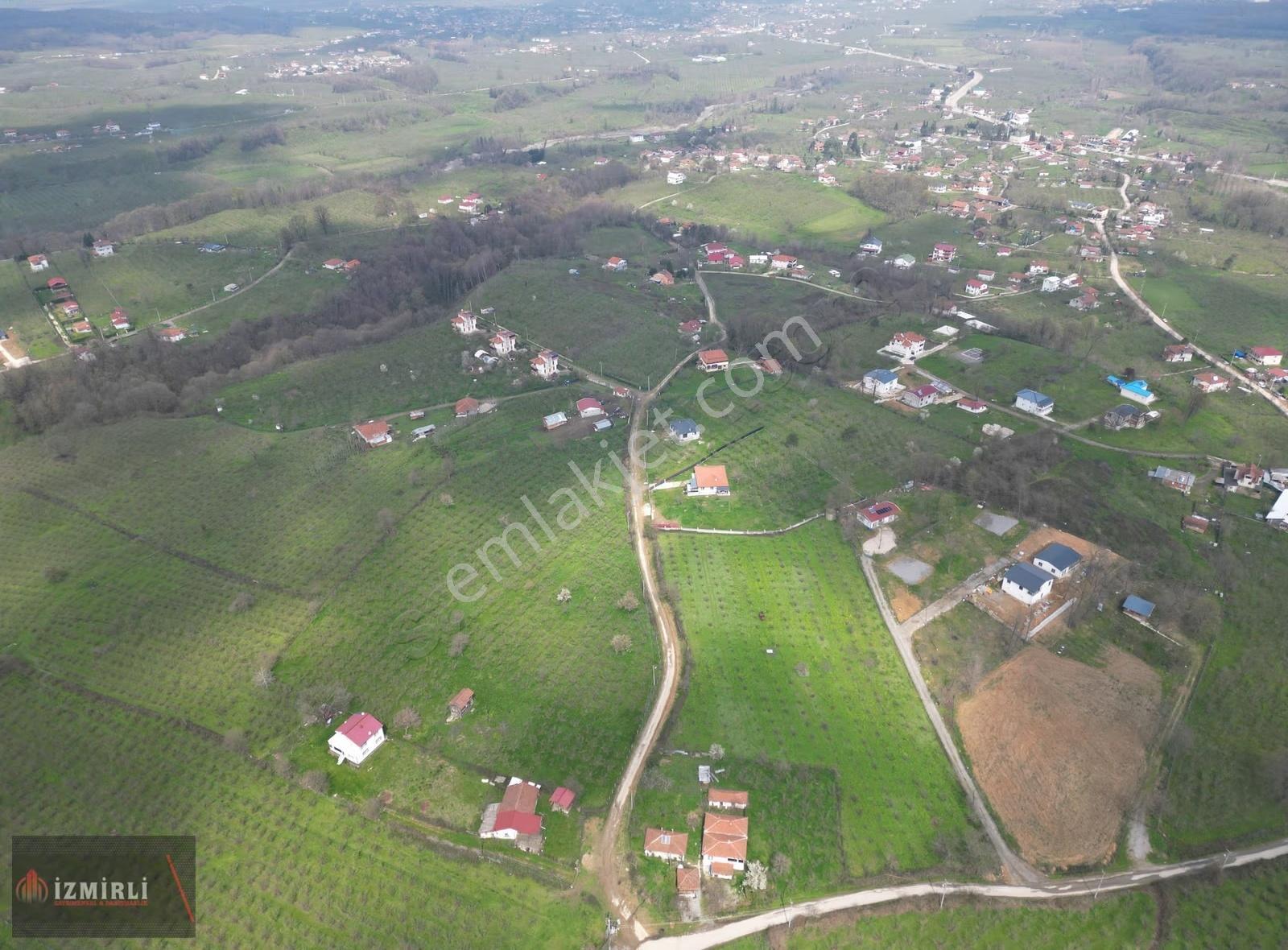 Sakarya Karapürçek Mesudiye Anayola Cepheli Satılık Fındık Bahçe - Görsel 13