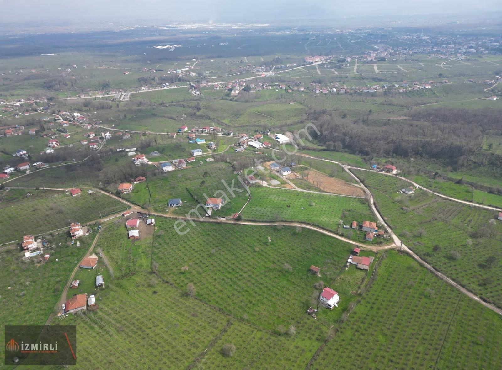 Sakarya Karapürçek Mesudiye Anayola Cepheli Satılık Fındık Bahçe - Görsel 15