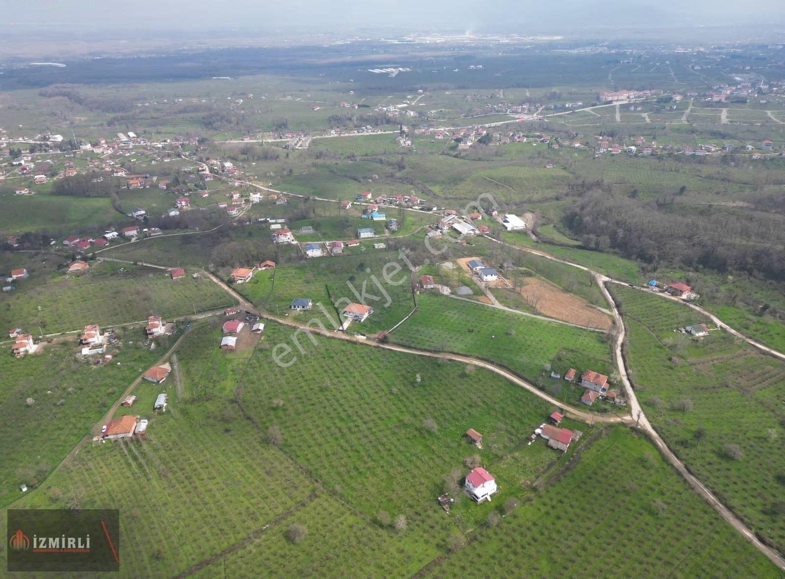 Sakarya Karapürçek Mesudiye Anayola Cepheli Satılık Fındık Bahçe - Görsel 16