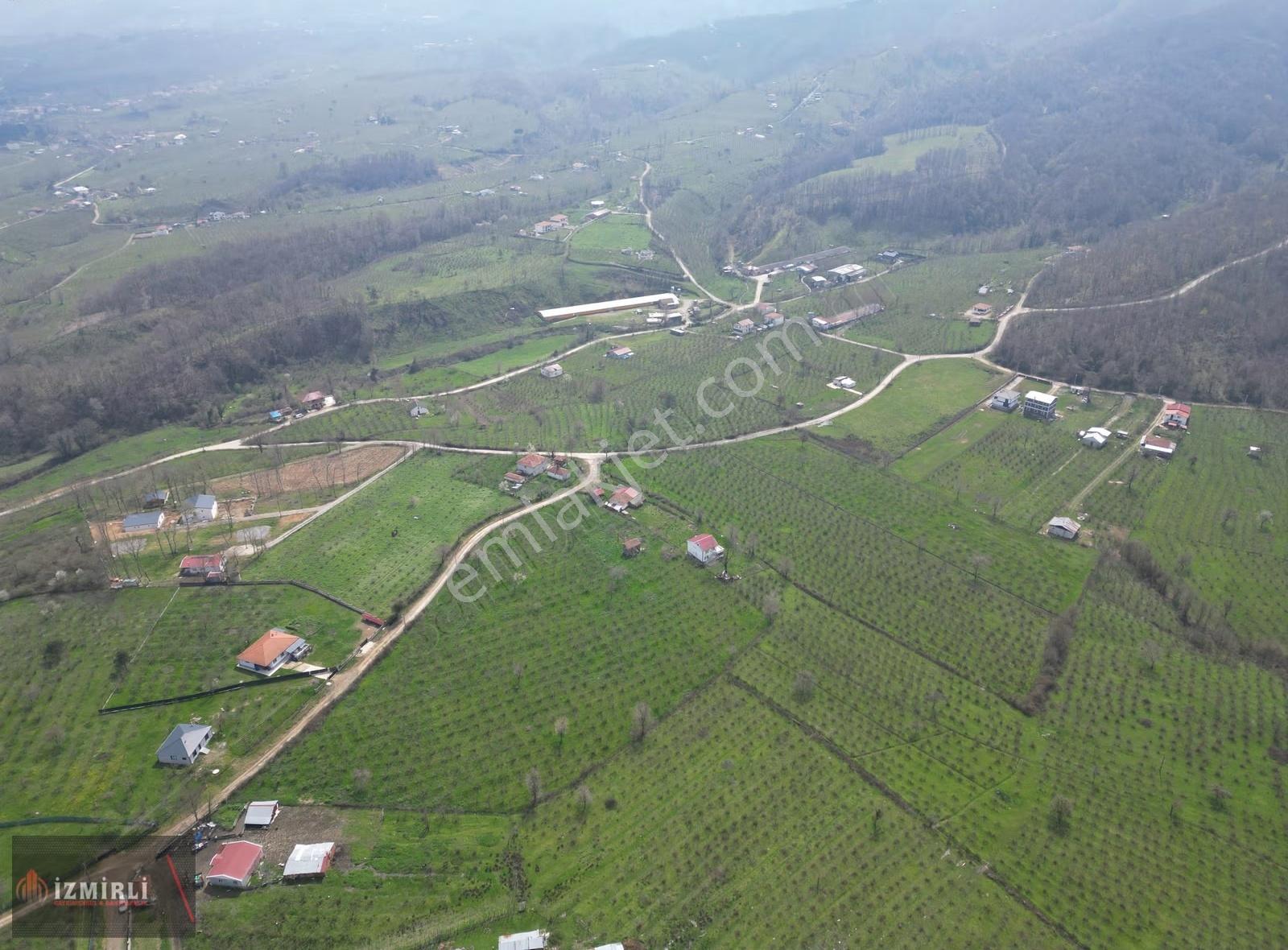 Sakarya Karapürçek Mesudiye Anayola Cepheli Satılık Fındık Bahçe - Görsel 18