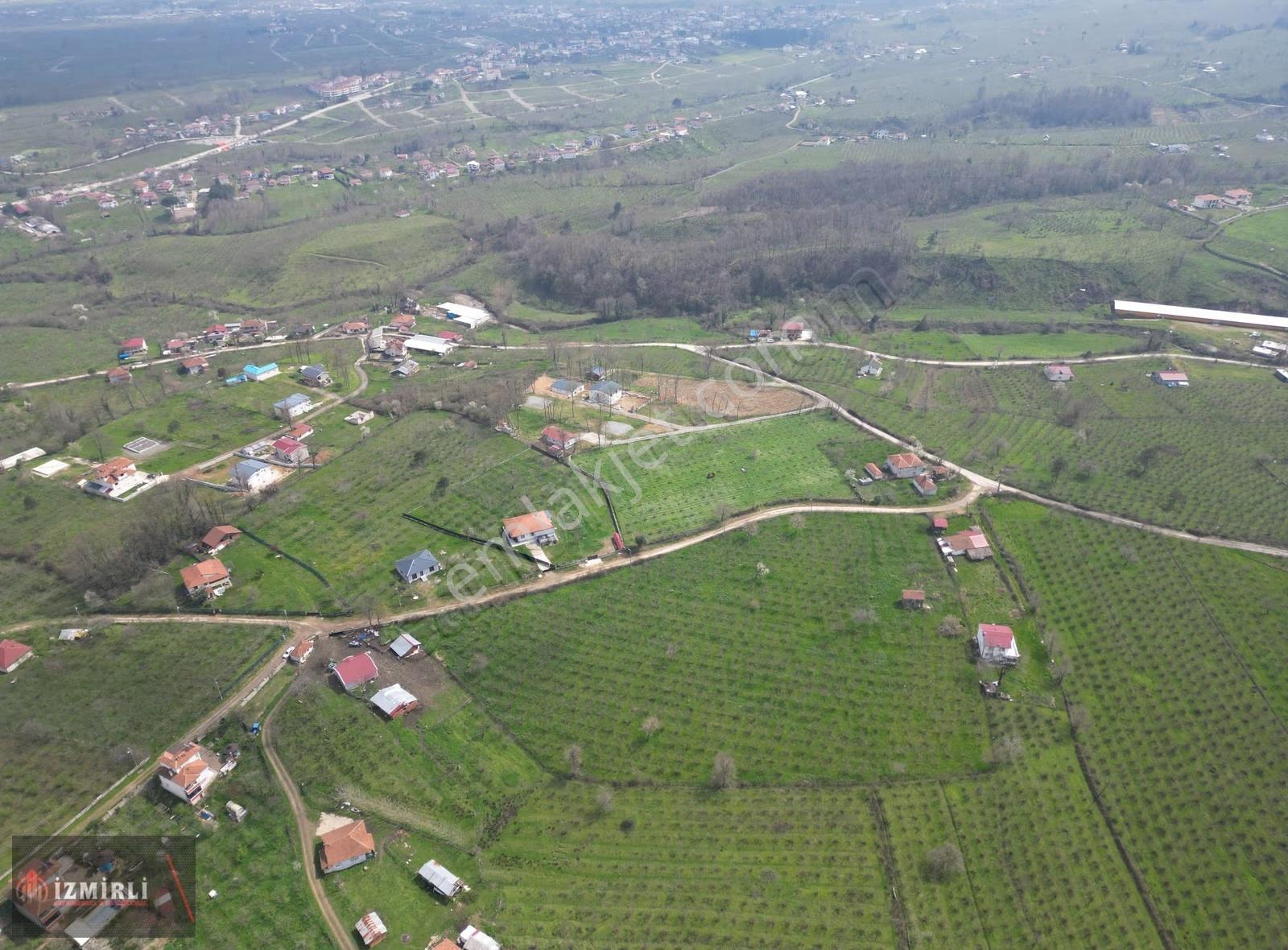 Sakarya Karapürçek Mesudiye Anayola Cepheli Satılık Fındık Bahçe - Görsel 3