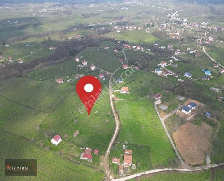 Sakarya Karapürçek Mesudiye Anayola Cepheli Satılık Fındık Bahçe - Görsel 12