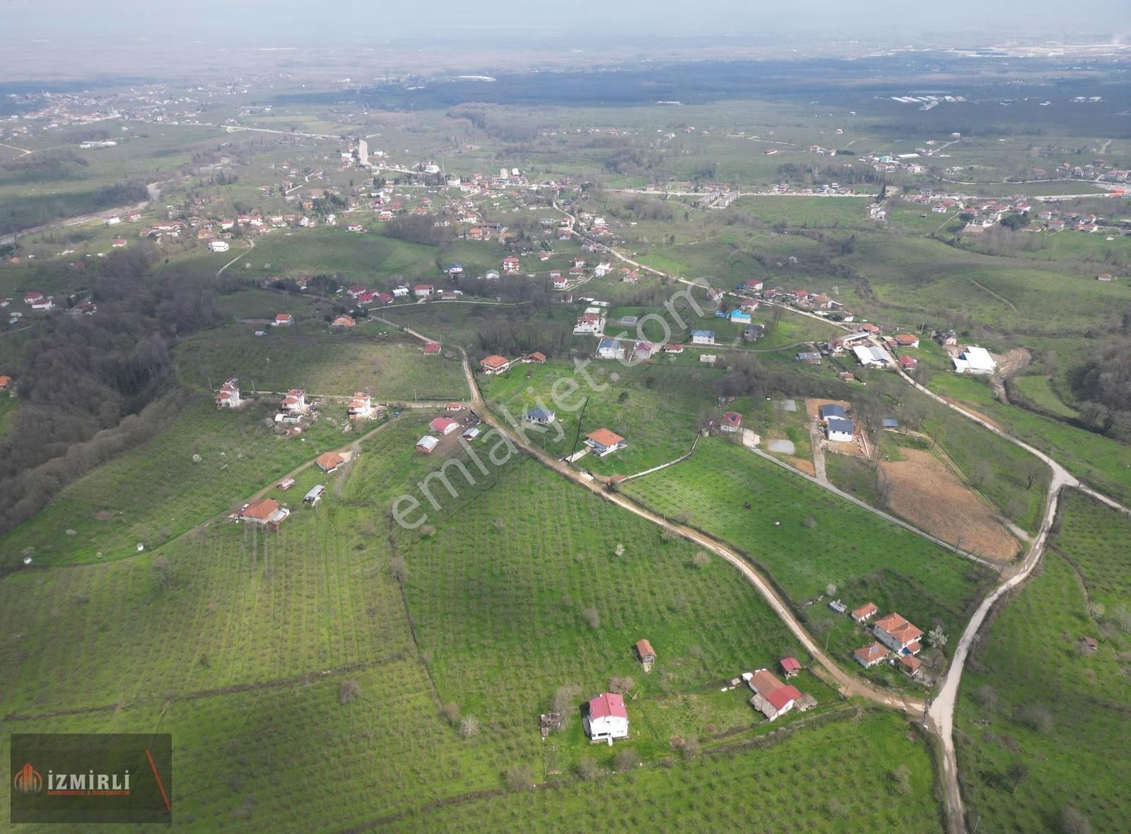 Sakarya Karapürçek Mesudiye Anayola Cepheli Satılık Fındık Bahçe - Görsel 9