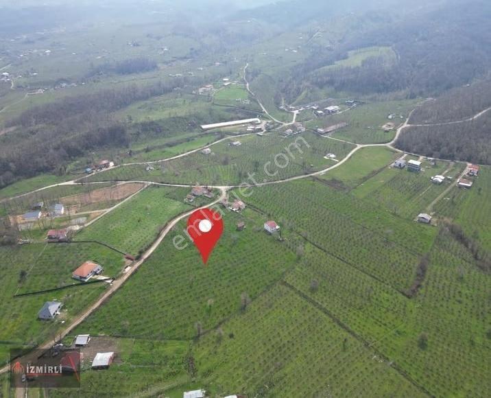 Sakarya Karapürçek Mesudiye Anayola Cepheli Satılık Fındık Bahçe - Görsel 22