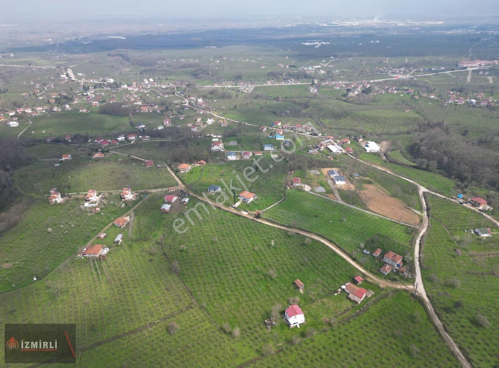 Sakarya Karapürçek Mesudiye Anayola Cepheli Satılık Fındık Bahçe - Görsel 6