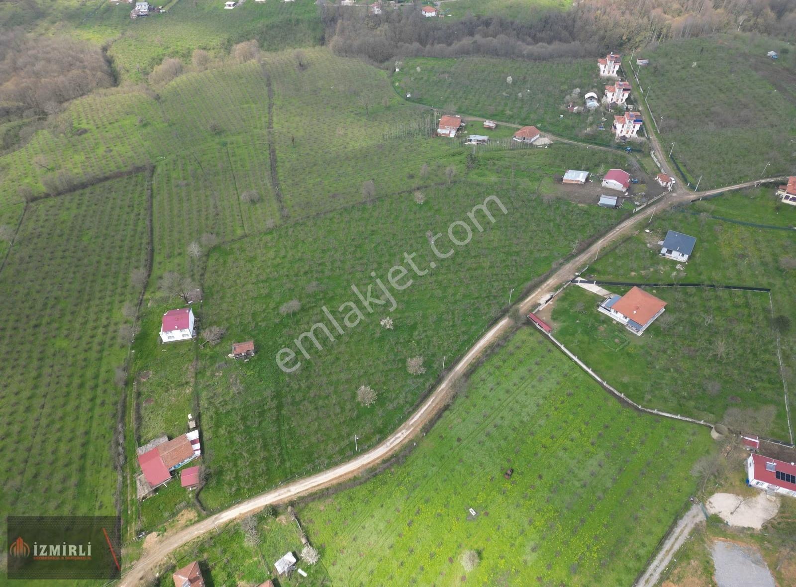 Sakarya Karapürçek Mesudiye Anayola Cepheli Satılık Fındık Bahçe - Görsel 8