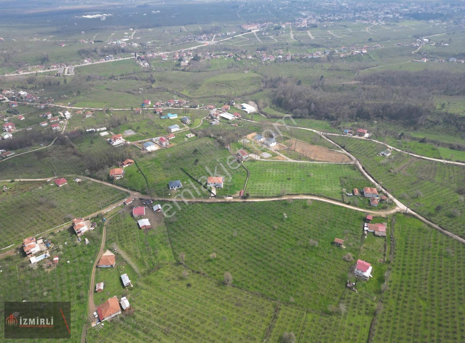 Sakarya Karapürçek Mesudiye Anayola Cepheli Satılık Fındık Bahçe - Görsel 10