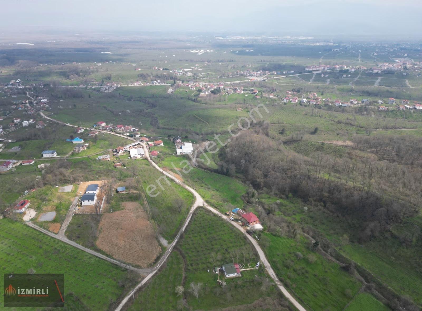Sakarya Karapürçek Mesudiye Anayola Cepheli Satılık Fındık Bahçe - Görsel 21