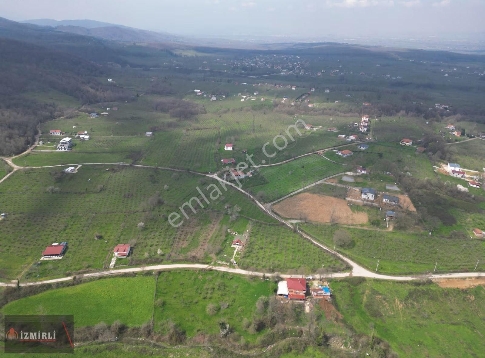 Sakarya Karapürçek Mesudiye Anayola Cepheli Satılık Fındık Bahçe - Görsel 12