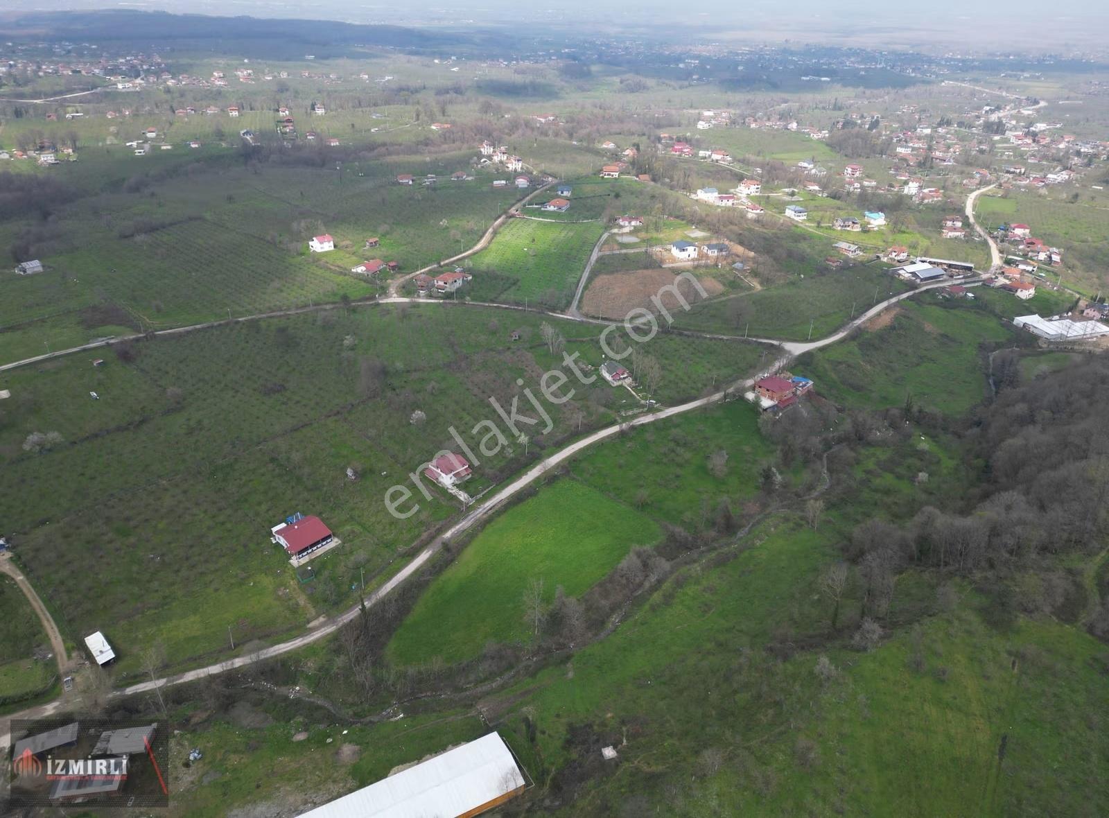 Sakarya Karapürçek Mesudiye Anayola Cepheli Satılık Kavaklık - Görsel 7