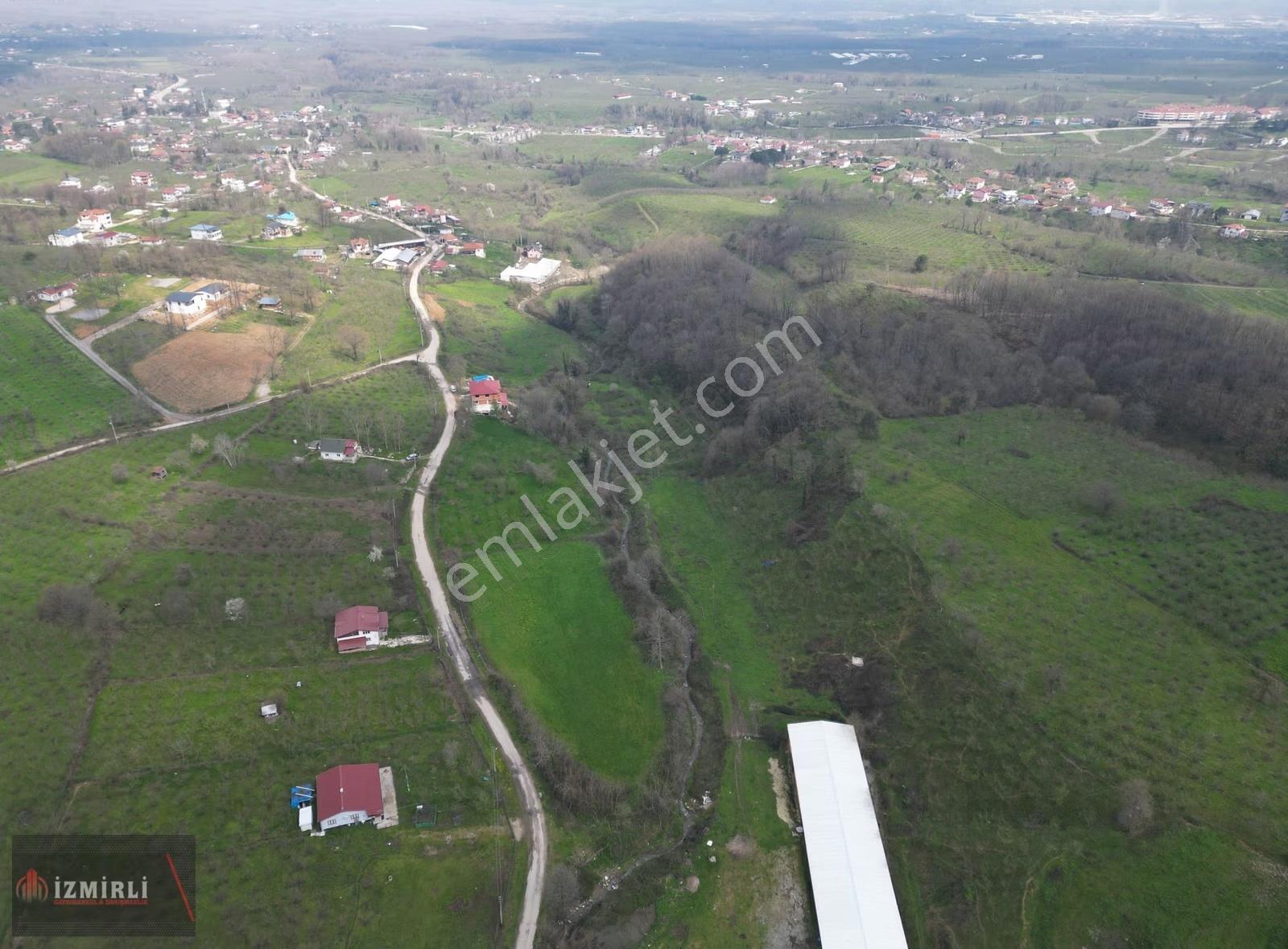 Sakarya Karapürçek Mesudiye Anayola Cepheli Satılık Kavaklık - Görsel 18