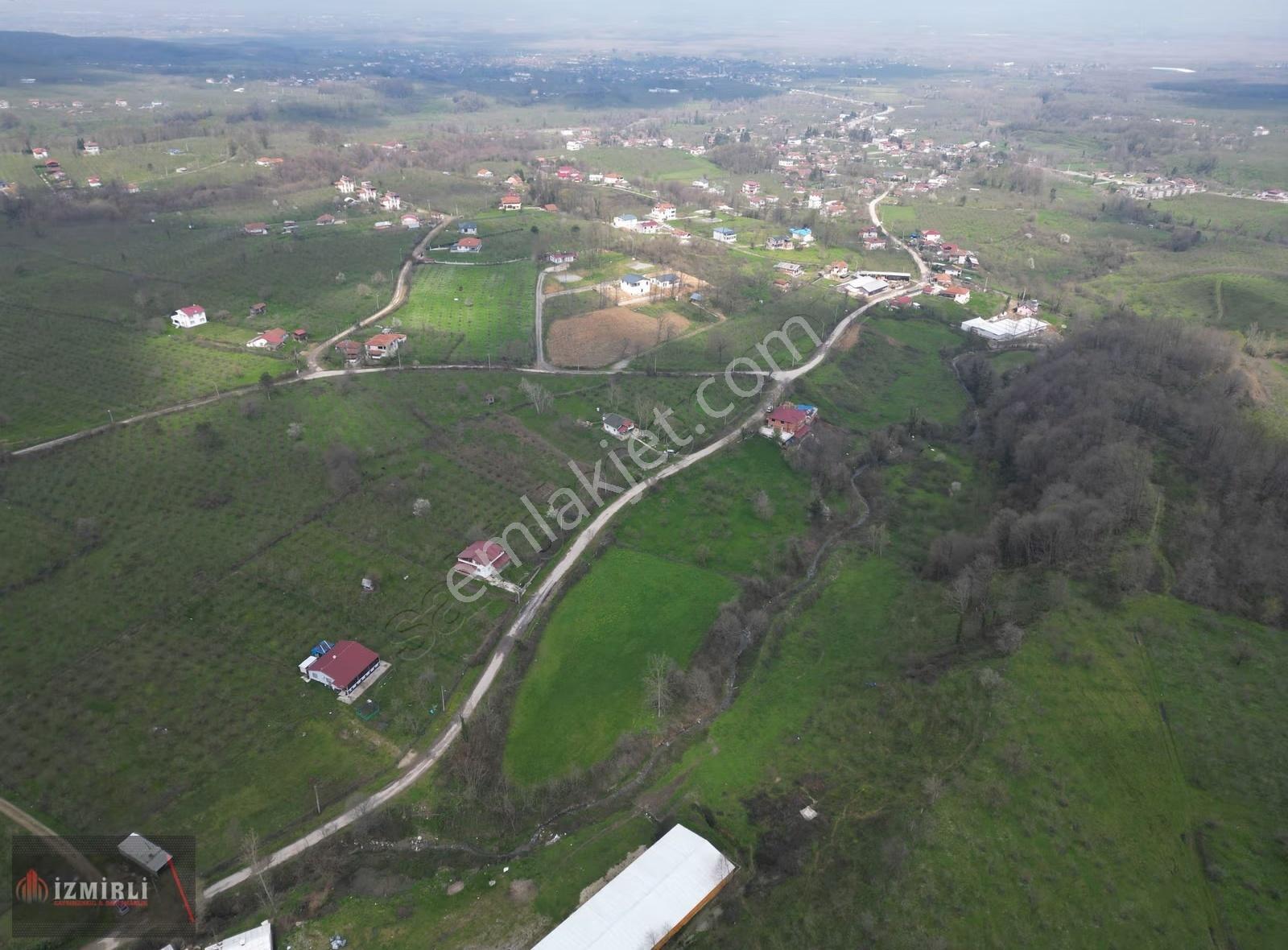 Sakarya Karapürçek Mesudiye Anayola Cepheli Satılık Kavaklık - Görsel 20