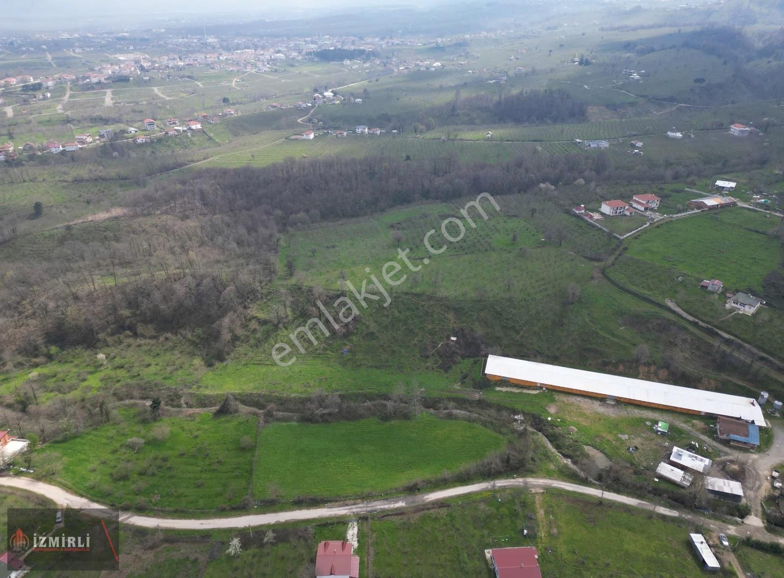 Sakarya Karapürçek Mesudiye Anayola Cepheli Satılık Kavaklık - Görsel 16